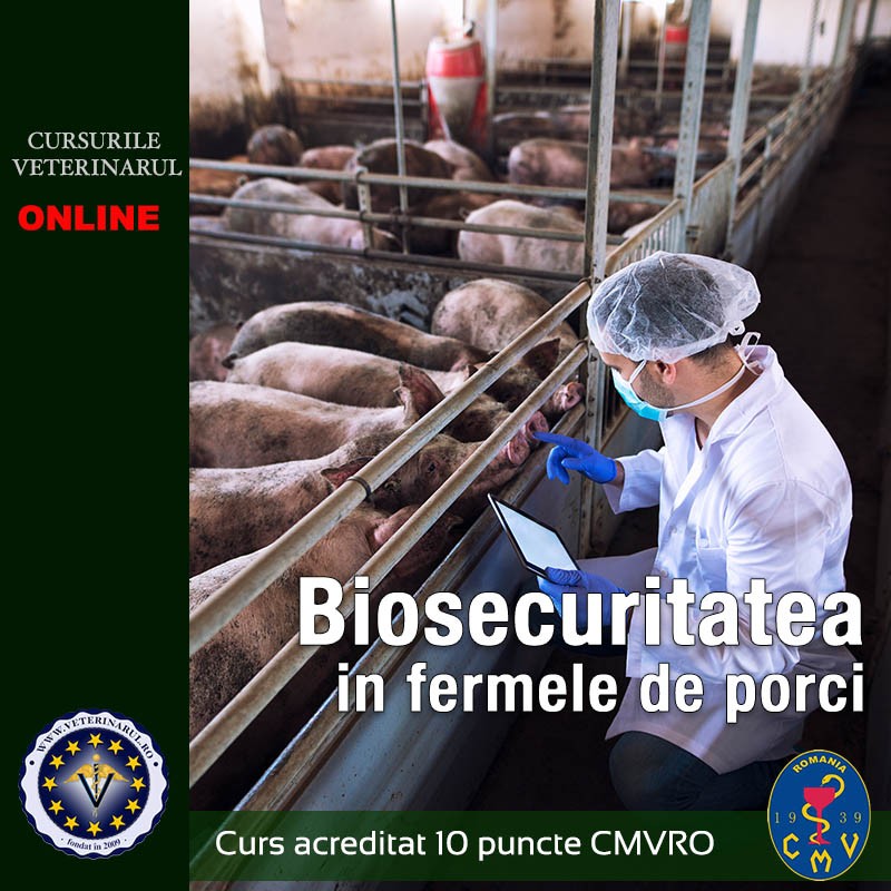 Biosecuritatea in fermele de porci