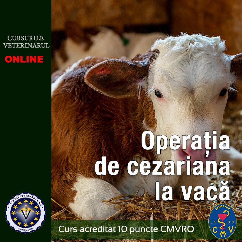 Operatia de cezariana la vaca - taxă membru asociat