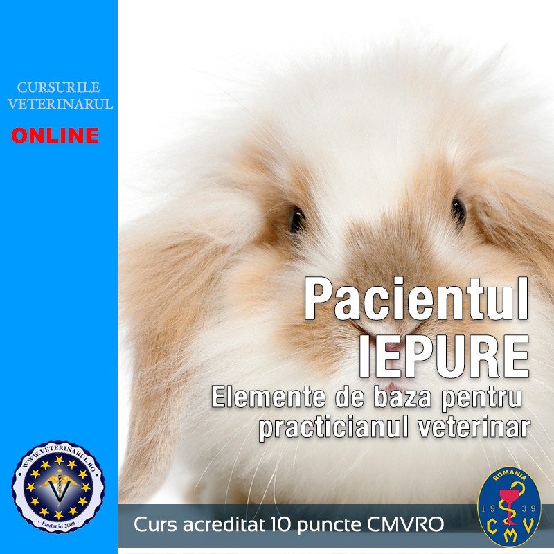 Pacientul lepure - Elemente de baza pentru practicianul veterinar  - taxă membru asociat