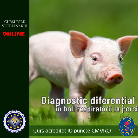 Diagnostic diferențial în boli respiratorii la porci