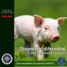 Diagnostic diferențial în boli respiratorii la porci - taxa membru asociat