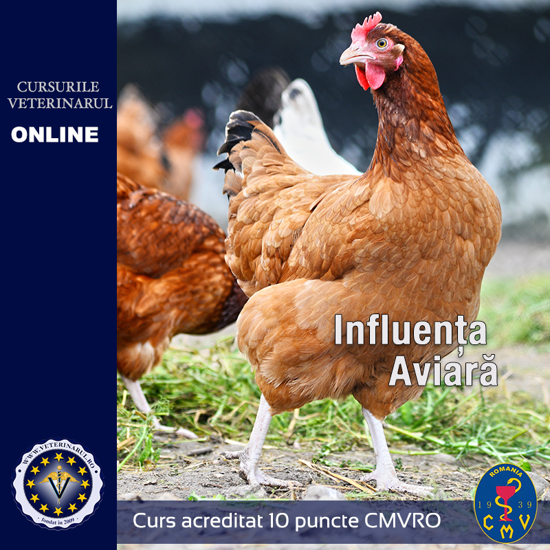 Influenta aviară - taxa membru asociat