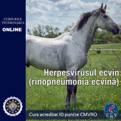 Herpesvirusul ecvin (rinopneumonia ecvină)