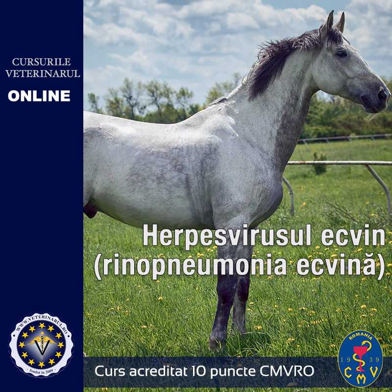 Herpesvirusul ecvin (rinopneumonia ecvină)  - taxă membru asociat