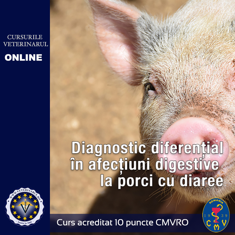 Diagnostic diferențial afecțiuni digestive la porci cu diaree - taxa membru asociat