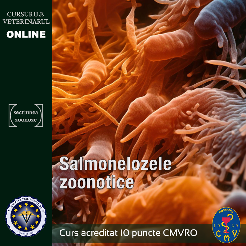 Salmonelozele zoonotice - taxa membru asociat