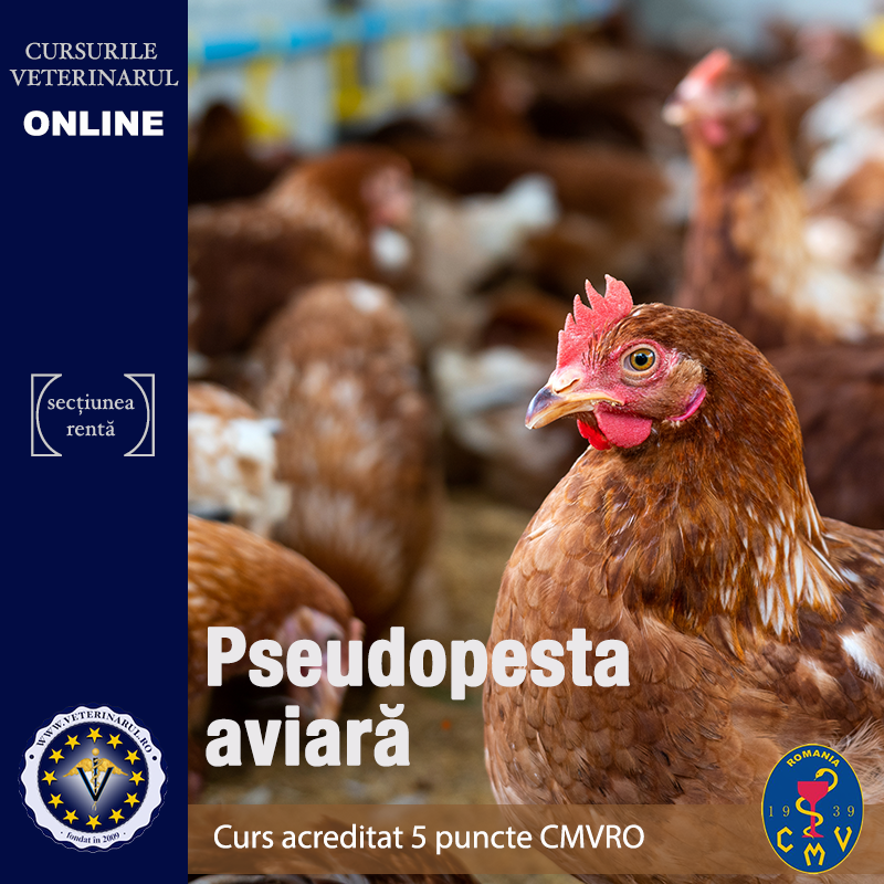 Pseudopesta aviară - acreditat cu 5 puncte CMVRO Pseudopesta aviară - acreditat cu 5 puncte CMVRO