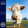 Antraxul - acreditat cu 5 puncte CMVRO