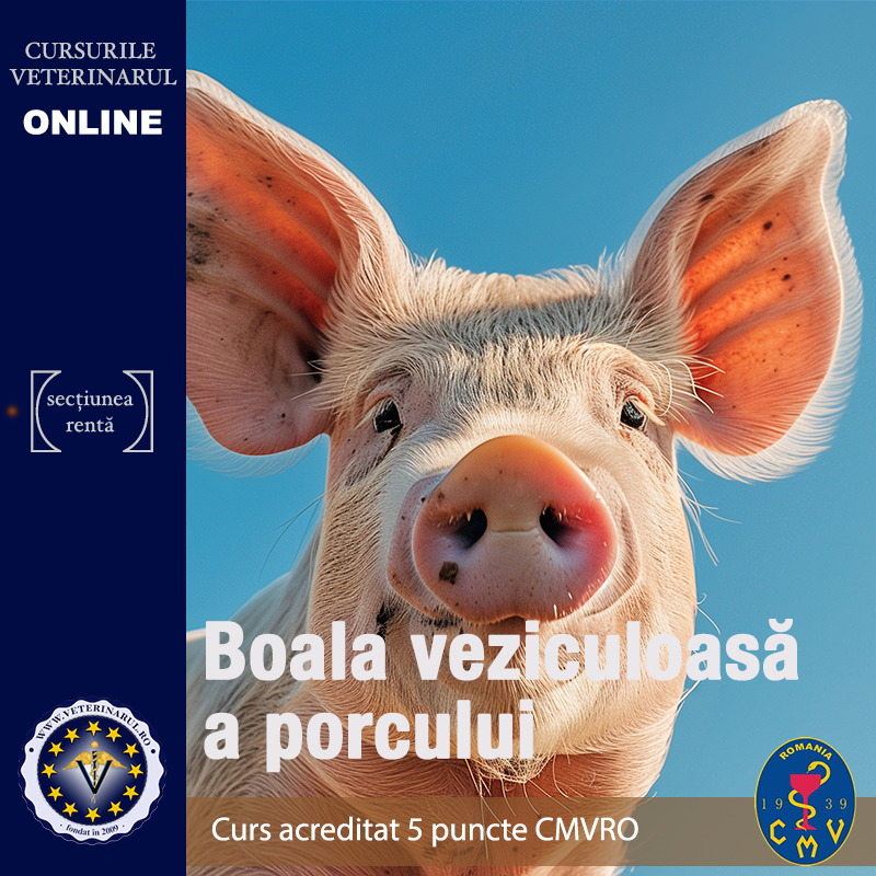 Boala veziculoasa a porcului - curs acreditat 5 puncte CMVRO Boala veziculoasa a porcului - curs acreditat 5 puncte CMVRO