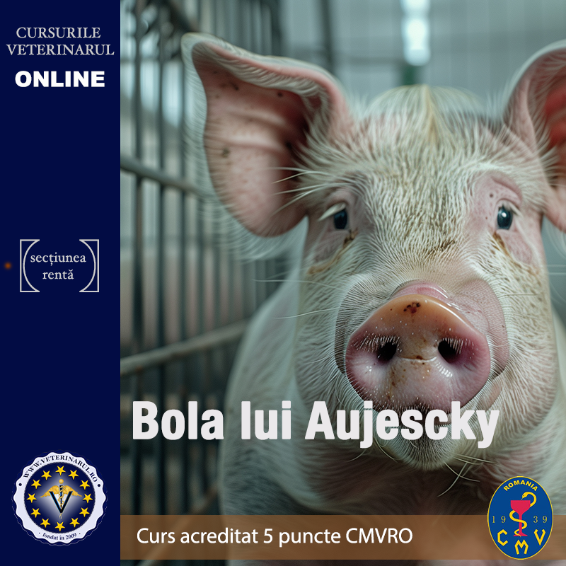 Boala Aujescky (Pseudorabia) - curs acreditat 5 puncte CMVRO Boala Aujescky (Pseudorabia) - curs acreditat 5 puncte CMVRO