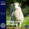 Variola ovină și caprina - curs acreditat 5 puncte CMVRO