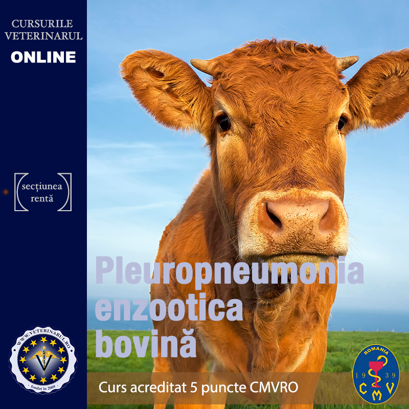 Pleuropneumonia contagioasa bovine - acreditat 5 puncte CMVRO Pleuropneumonia contagioasa bovine - acreditat 5 puncte CMVRO