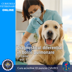 Diagnosticul diferențial în bolile pulmonare la Caine - vol 1- - 10 puncte