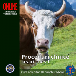 Proceduri clinice la vaci...