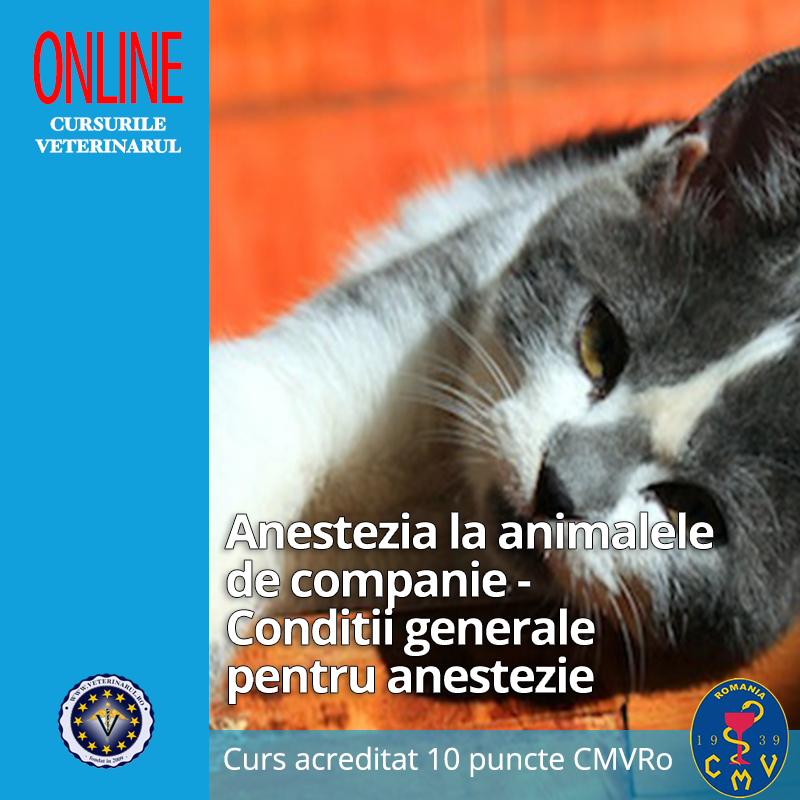 Anestezia la animalele de companie - Conditii generale pentru anestezie - taxă membru asociat