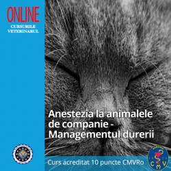 Anestezia la animalele de companie - ManagementuI durerii - taxă membru asociat