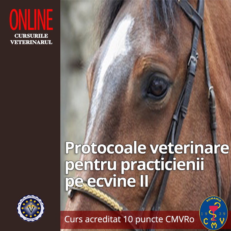 Protocoale veterinare pentru practicienii pe ecvine II - taxă membru asociat